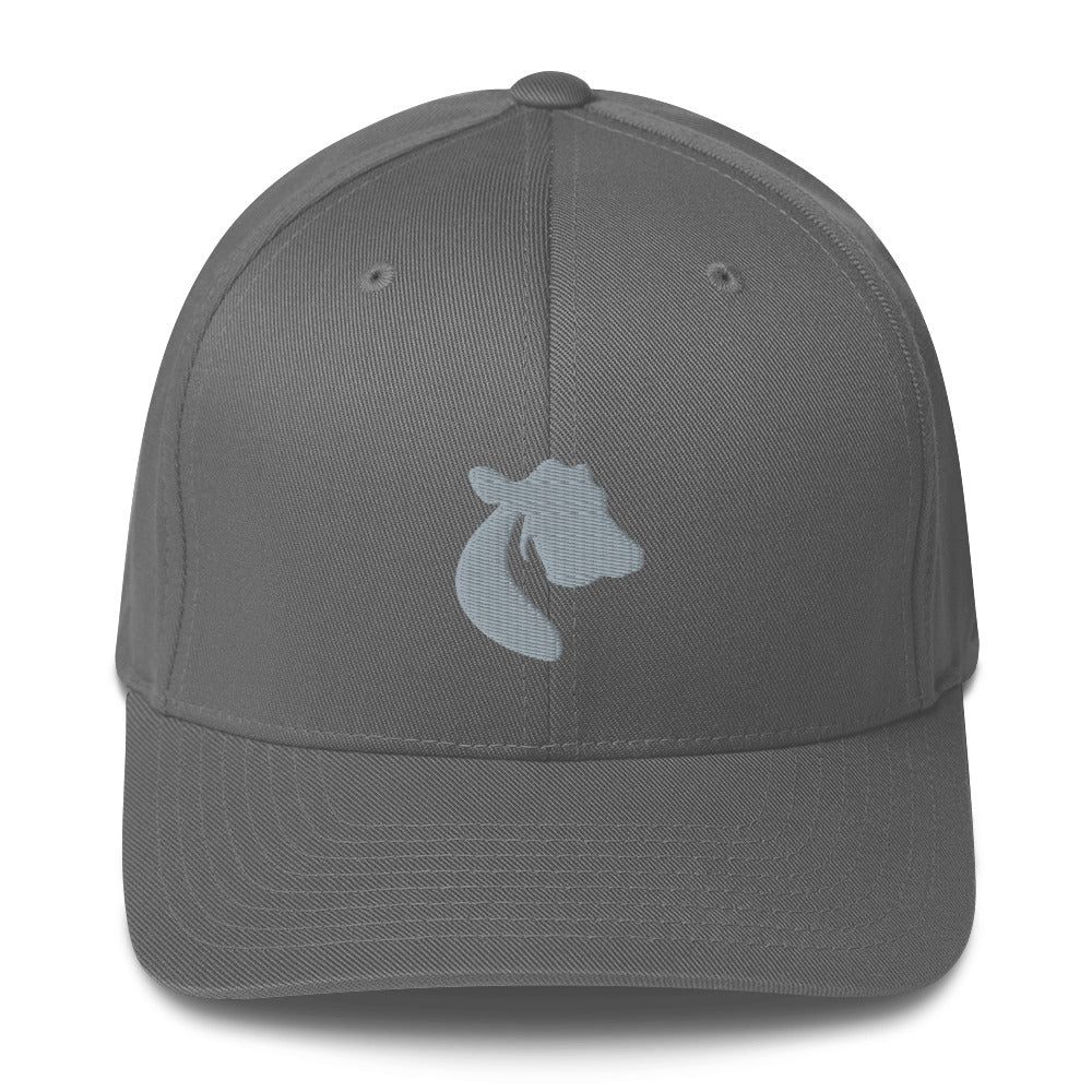 Structured Twill Cap