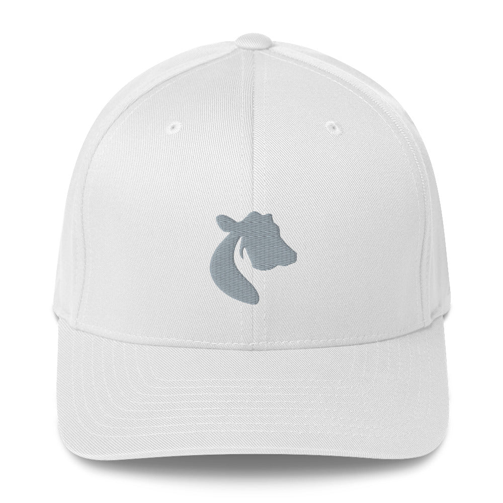 Structured Twill Cap