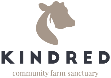 Kindred Farm Store